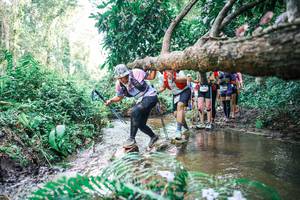 BIB: 
                            <button type="button" onclick="openModal(25476392)" class="btn btn-primary btn-sm float-right btn-popup" data-toggle="modal" data-target=".modal-high-quality">
                        <i class="fas fa-shopping-cart"></i> Add to Cart
                    </button>
                                            <button type="button" onclick="isThisMe(25476392, true)" class="btn btn-success btn-sm float-right btn-popup btn-isme hidden" data-toggle="tooltip" data-placement="bottom" title="นี่คือรูปของคุณใช่ไหม คลิกที่นี่เพื่อเอาเข้าอัลบั้ม">
                        <i class="fas fa-plus"></i> Add to album
                    </button>
                    <button type="button" onclick="isThisMe(25476392, false)" class="btn btn-warning btn-sm float-right btn-popup btn-isnotme hidden">
                        <i class="fas fa-ban"></i> Remove from album
                    </button>